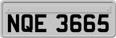NQE3665