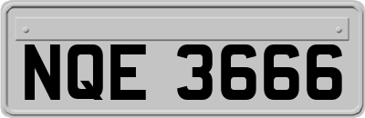 NQE3666