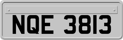 NQE3813