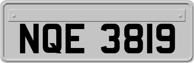 NQE3819