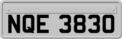 NQE3830