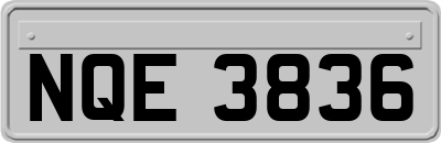 NQE3836