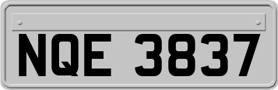 NQE3837