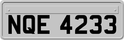 NQE4233