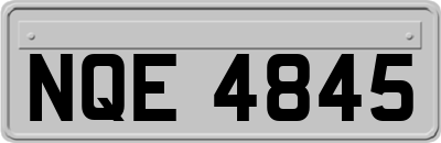 NQE4845