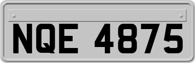 NQE4875