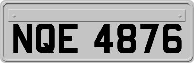 NQE4876