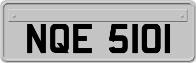 NQE5101