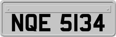 NQE5134
