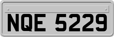 NQE5229