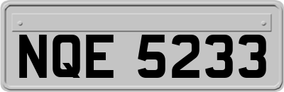 NQE5233