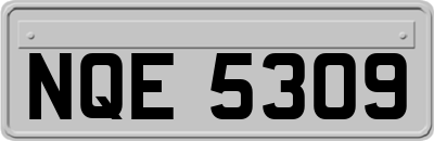 NQE5309