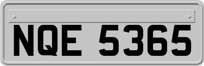 NQE5365