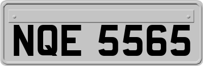 NQE5565