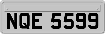 NQE5599