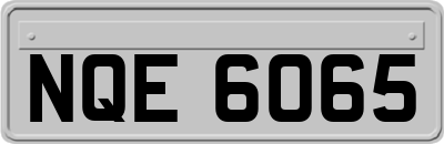 NQE6065