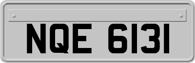 NQE6131
