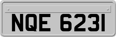 NQE6231