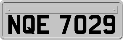 NQE7029