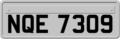 NQE7309