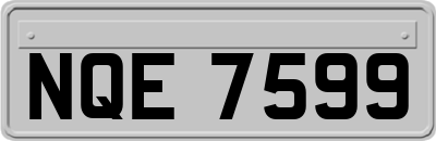 NQE7599
