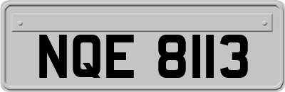 NQE8113