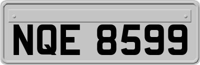 NQE8599