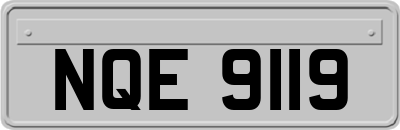 NQE9119