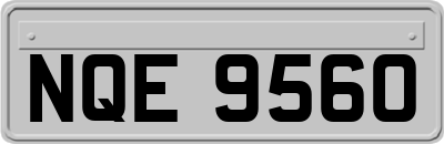 NQE9560