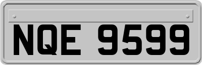 NQE9599