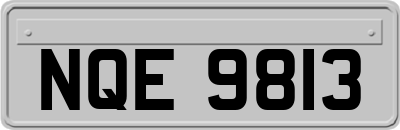 NQE9813