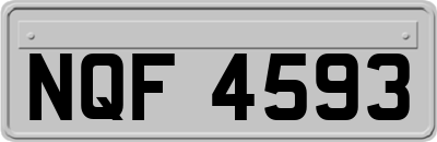 NQF4593
