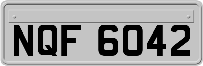 NQF6042