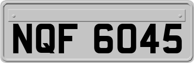 NQF6045