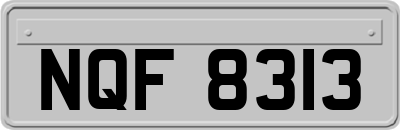 NQF8313
