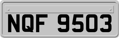 NQF9503