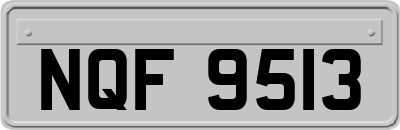 NQF9513