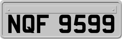 NQF9599