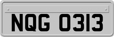 NQG0313