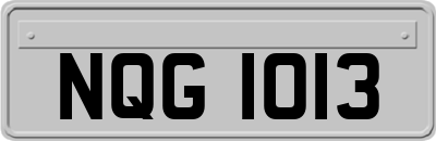NQG1013