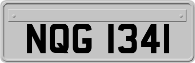 NQG1341