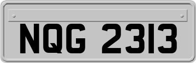 NQG2313