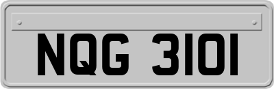 NQG3101
