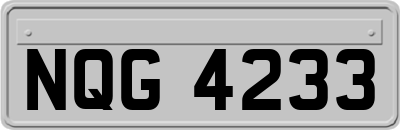 NQG4233