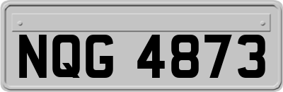 NQG4873