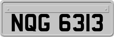 NQG6313