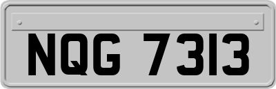 NQG7313