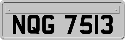 NQG7513