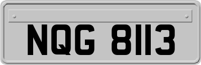 NQG8113