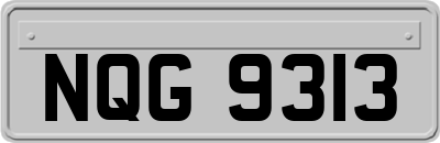 NQG9313